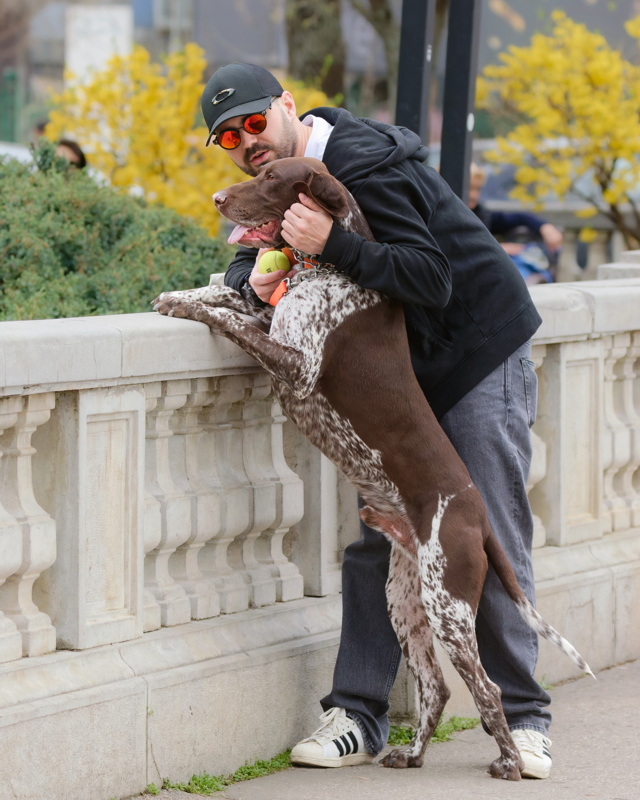Young man with a big dog